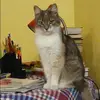 Отзыв от Нинель Львова